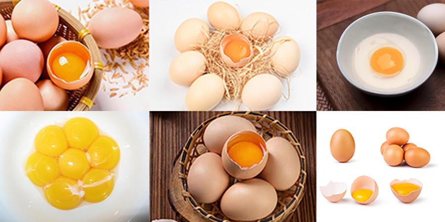 egg egg